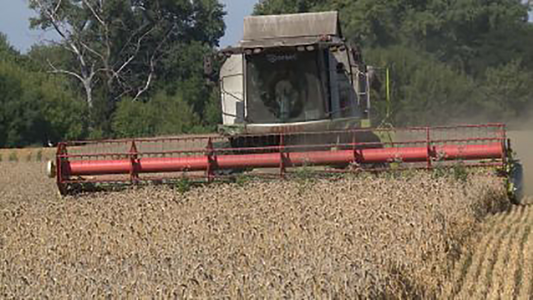 На Брянщине продолжается страда уборки