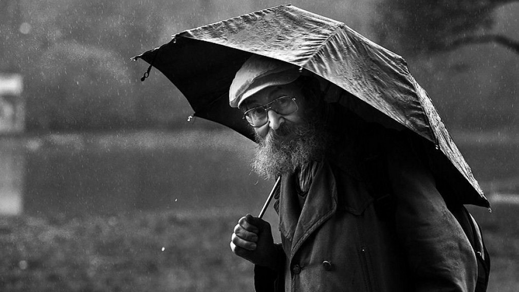 В августе 95 и 100-летние юбилеи отметят 34 брянца