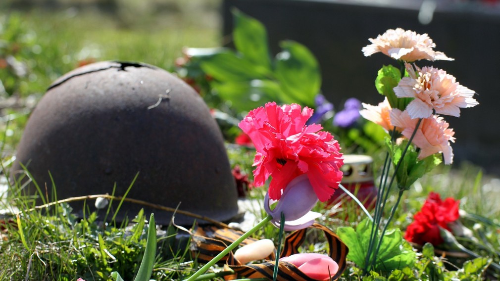 Брянцы могут воспользоваться услугами по поиску пропавших в годы Великой Отечественной войны родственниках