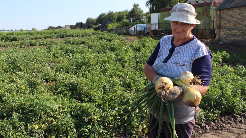 Жительница Суземского района  в Брянщине вырастила огромный лук