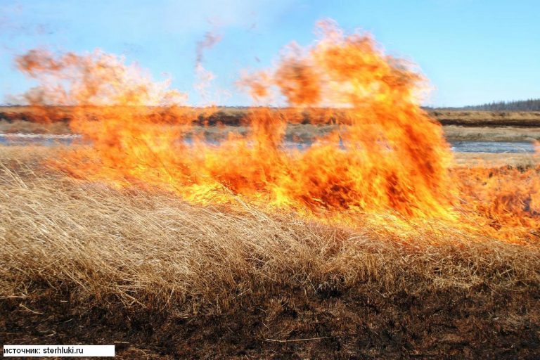 МЧС. Палы травы могут стать причиной пожаров!