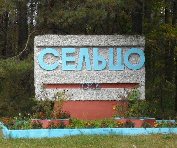 30-летний юбилей отмечает брянский город Сельцо