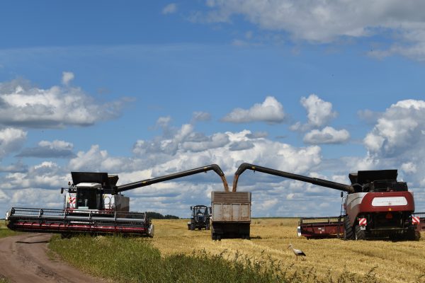 Брянские аграрии активно развивают сельское хозяйство России