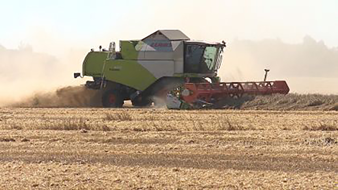 На Брянщине продолжается уборочная кампания