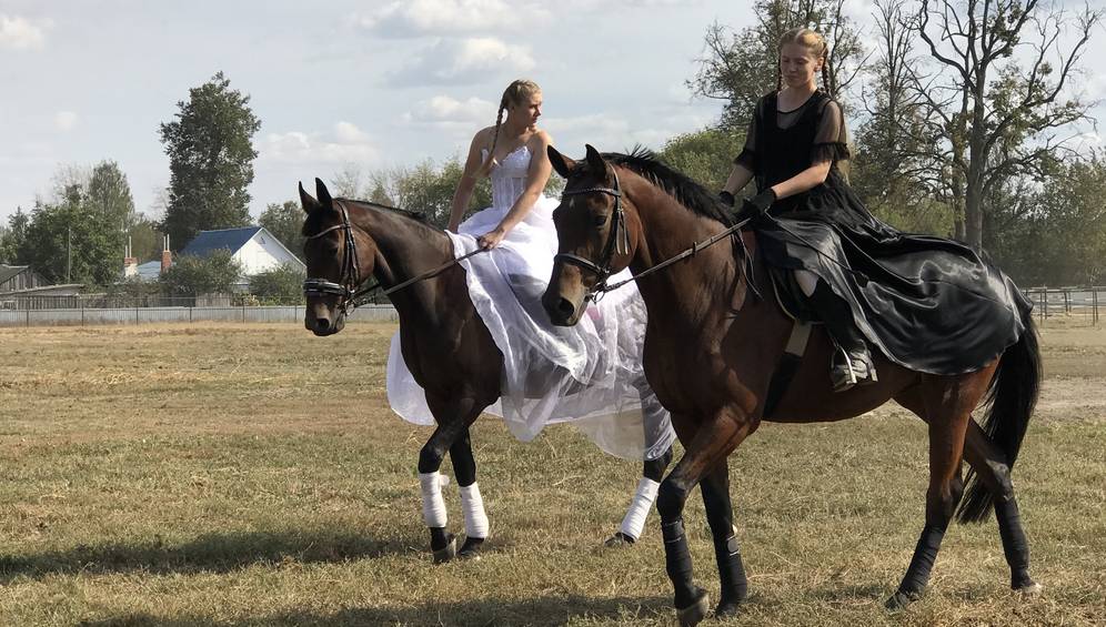 Локотской конезавод приглашает всех жителей и гостей Брянщины отпраздновать 125-летний юбилей