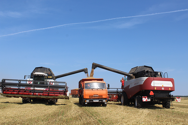 Сельхозработы в Карачевском районе  продолжаются