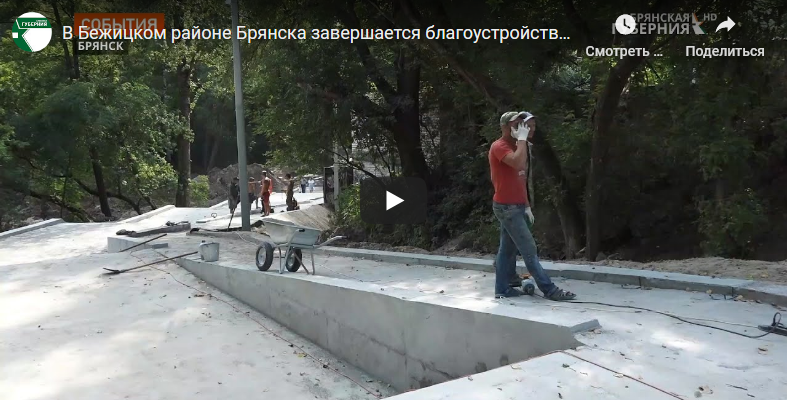 В Бежицком районе Брянска к 15 августа благоустроят центральный пляж