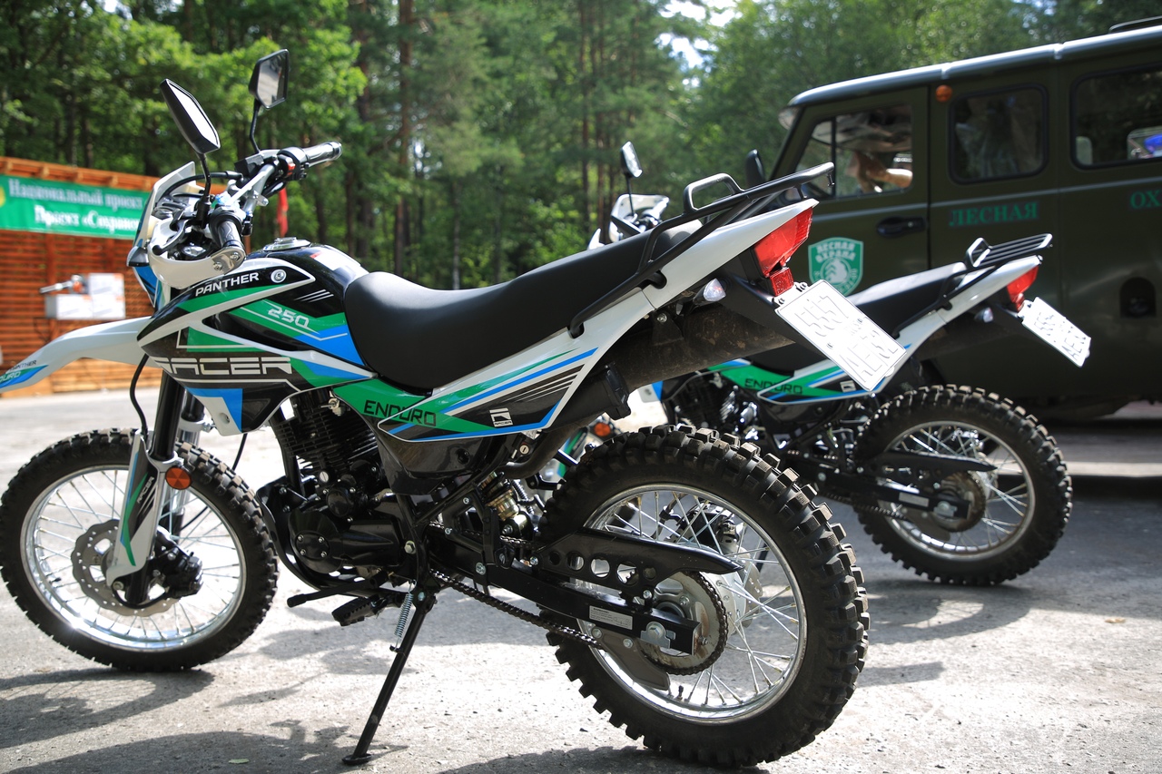 Карачевское лесничество в числе лучших в области