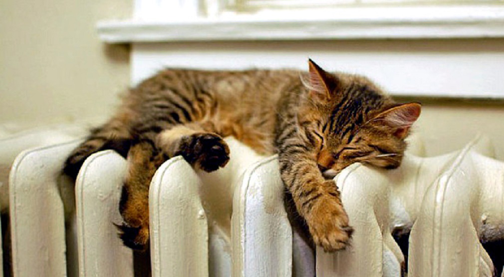 В садах и школах Брянской области включат отопление с 28 сентября