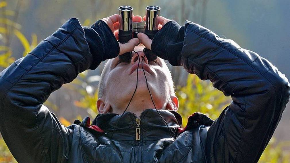 Заповедник «Брянский лес» предлагает понаблюдать за птицами