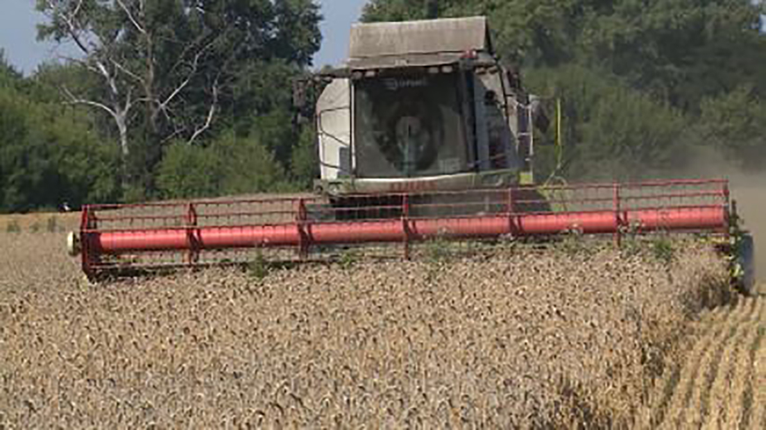 На Брянщине продолжается уборочная кампания