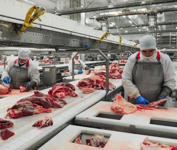 В Брянской области стабильно растет пищевое производство