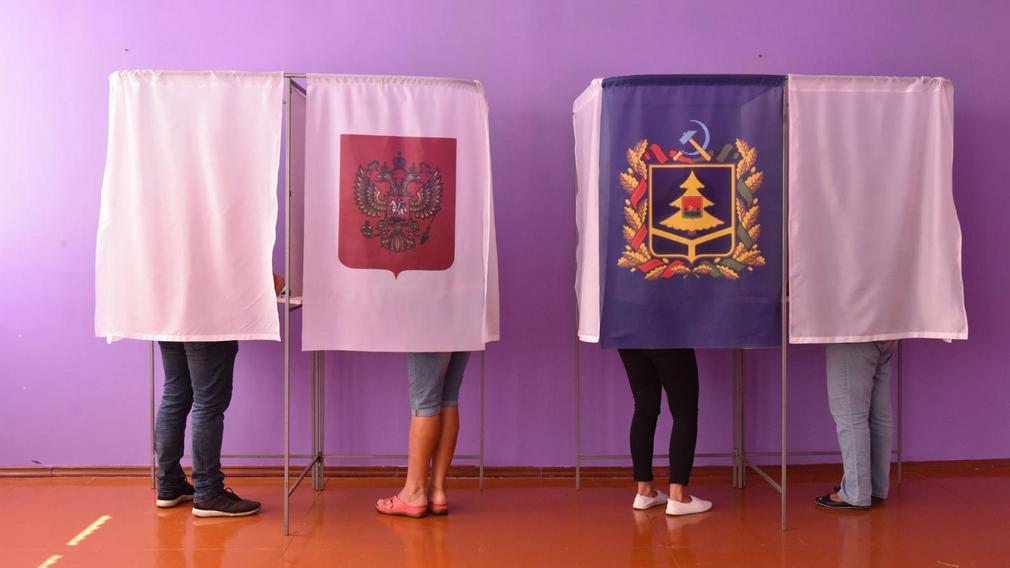 Брянцам рассказали о голосовании на губернаторских выборах