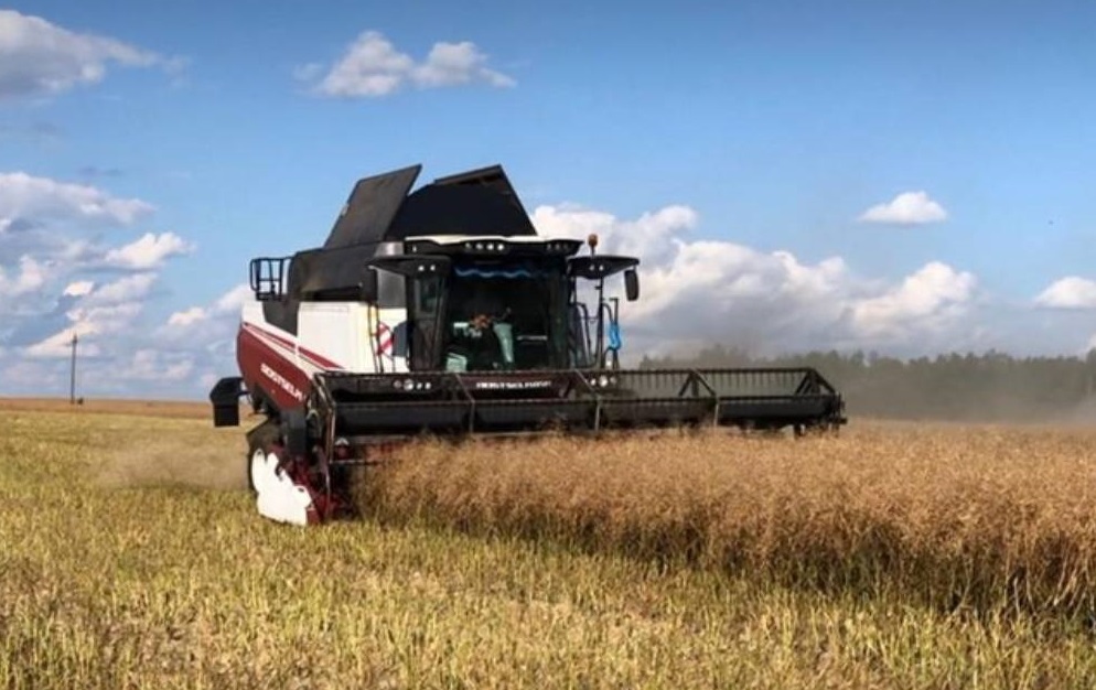 В Унечском районе Брянщины убраны озимые