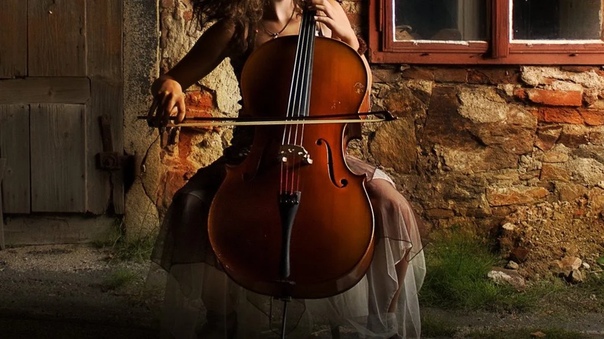 Президент Путин удостоил брянских педагогов звания Заслуженный работник культуры