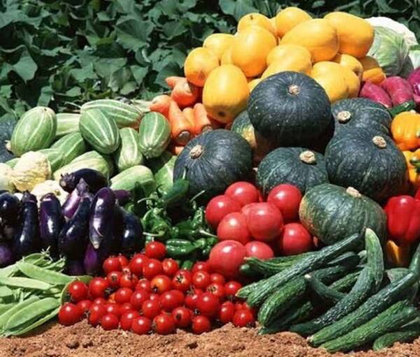 Брянцев приглашают на выставку  «Дары садов и огородов»