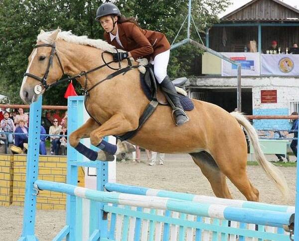 Знаменитый конезавод «Локотской» отпразднует 6 сентября 125-летний юбилей