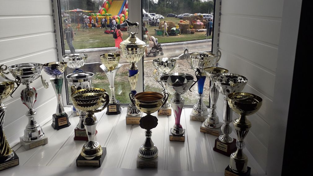 Гости праздника посетили музей конезавода в брянском Локте