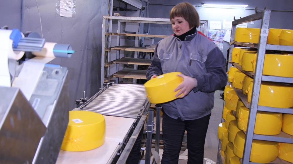 Брянская область лидирует в производстве сыров и переработке молока