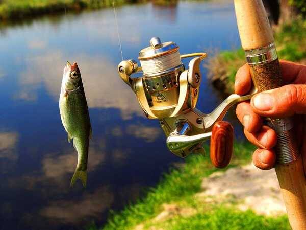 Кубок правительства области по рыболовному спорту состоится в Брянске