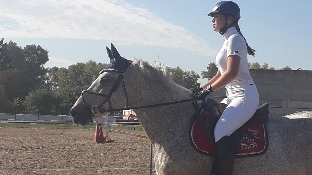 Соревнования по конкуру проходят сегодня  в брянском Локте