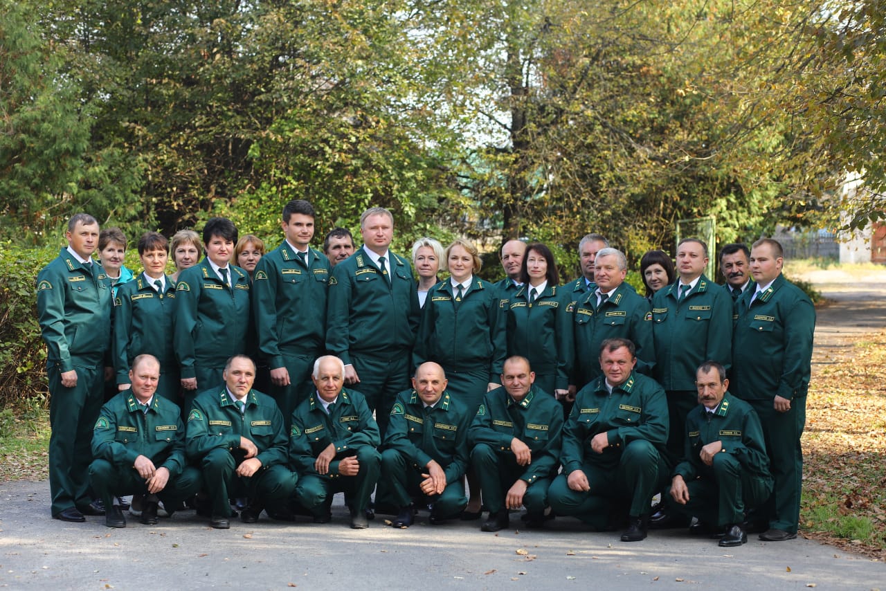 Живое богатство земли — лес