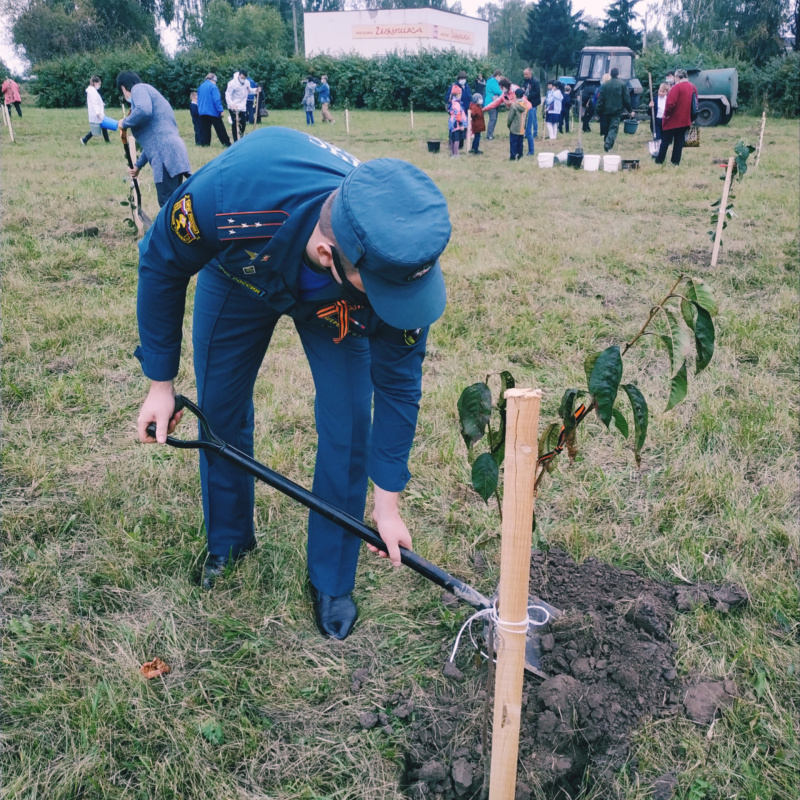 В рамках акции #30 добрых  дел сотрудники Брянского МЧС  посадили деревья