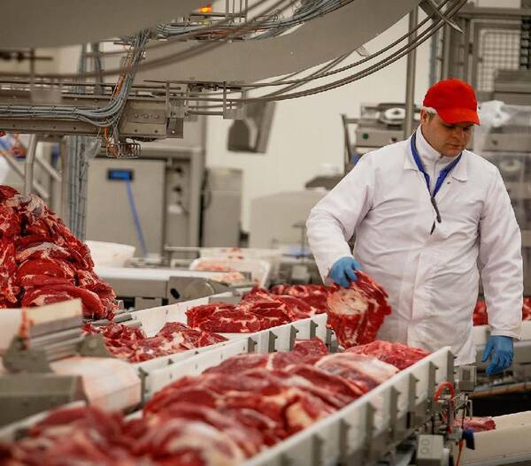 Больше молока и мяса стали производить на Брянщине