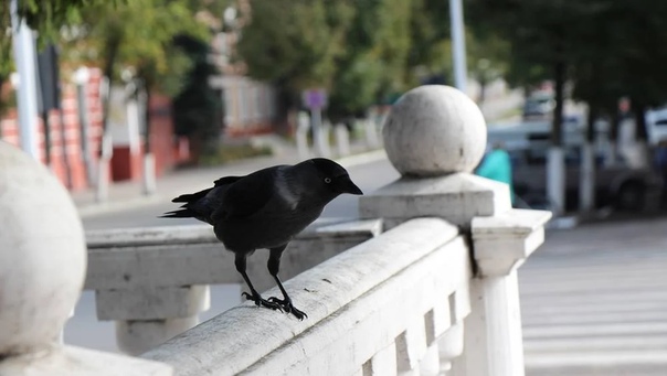 В Брянской области всю неделю будет длиться теплое бабье лето