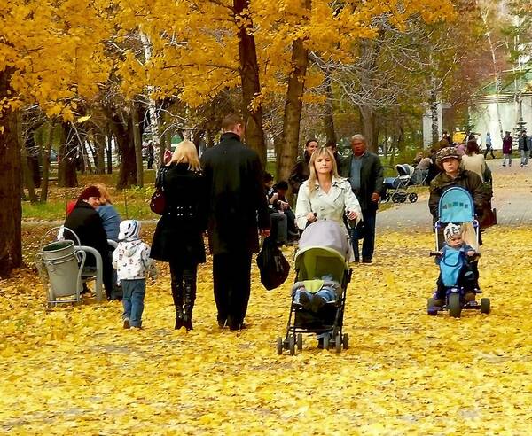 В Брянской области обновляются дворы, парки и скверы