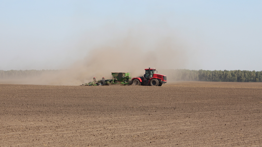 На Брянщине засеяли озимые культуры