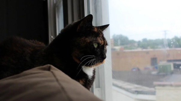 Михаил Мурашко призвал брянцев ограничить социальную активность