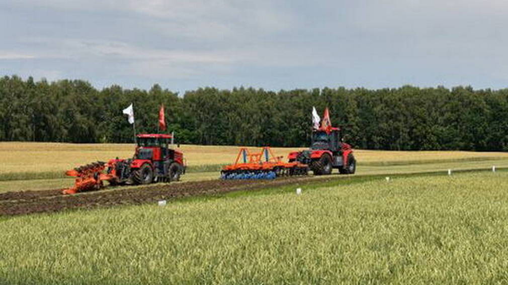 Лучшим брянским аграриям присвоено звание «Заслуженный работник сельского хозяйства»