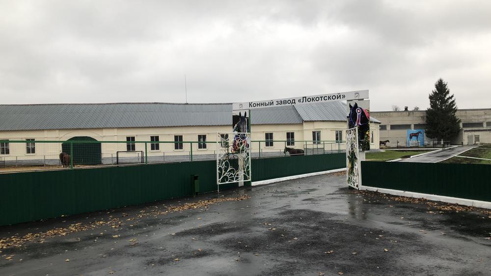 Конезавод в Локте Брянской области заметно преобразился