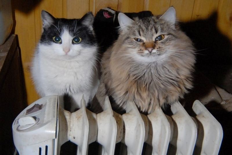 Теплом обеспечены все