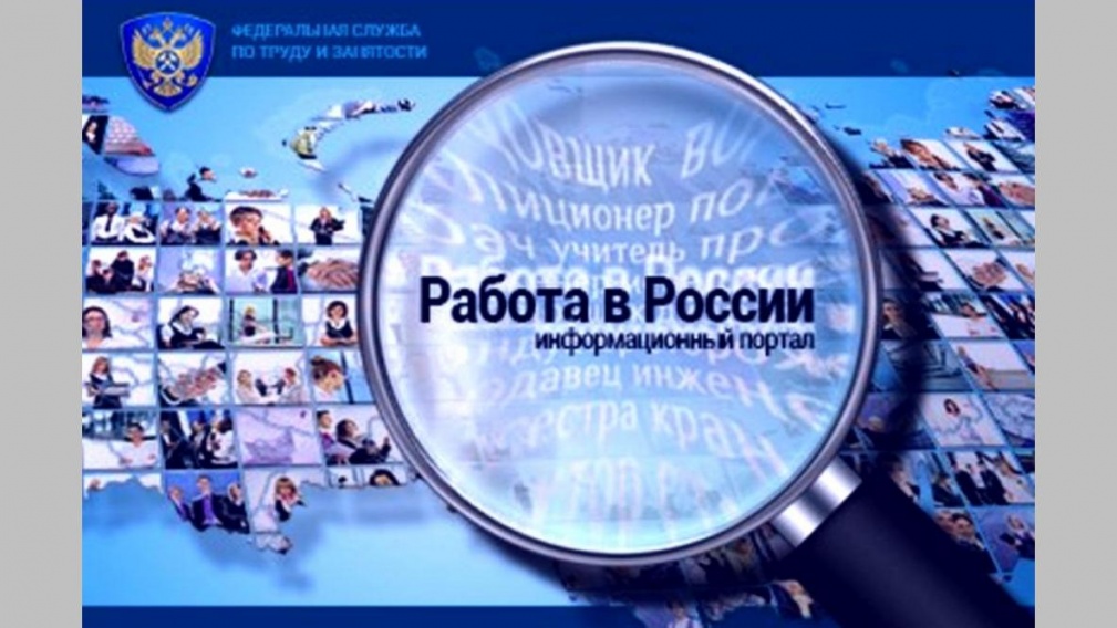 О площадках для заработка проинформировали брянских безработных