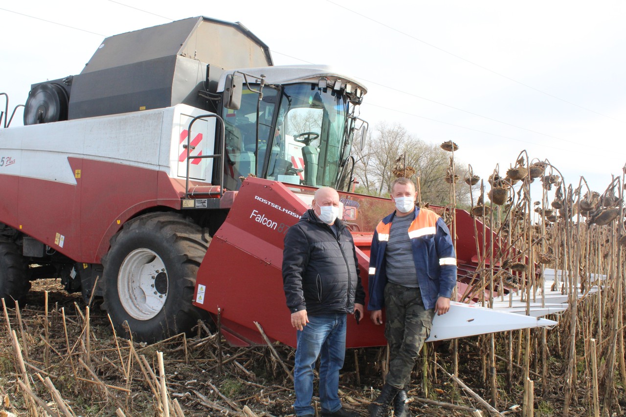 В Карачевском районе завершается уборка подсолнечника