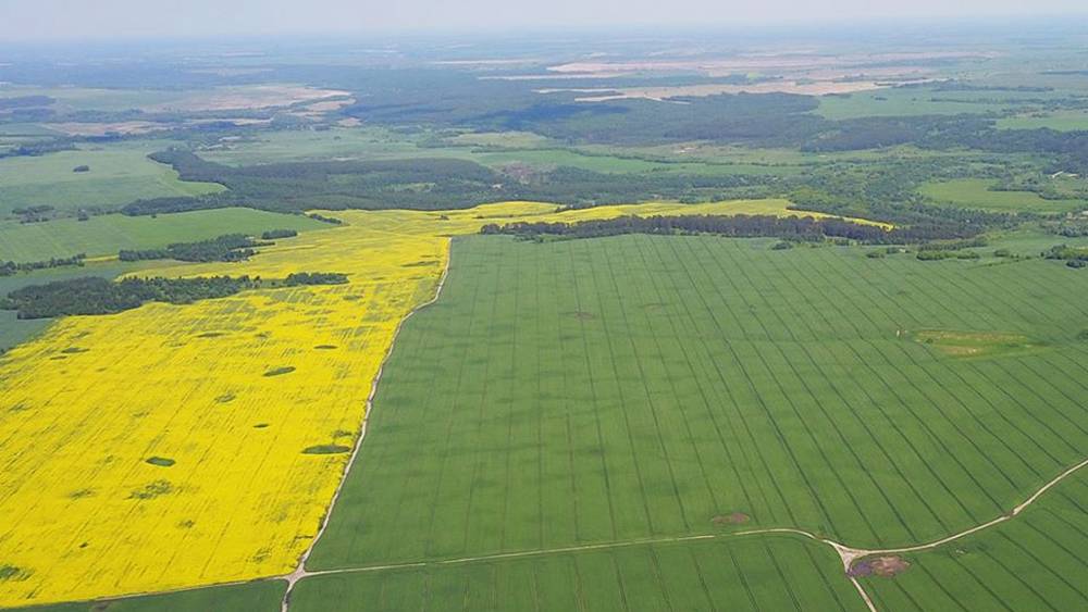 В Брянской области сельхозпроизводство выросло на 2,5%