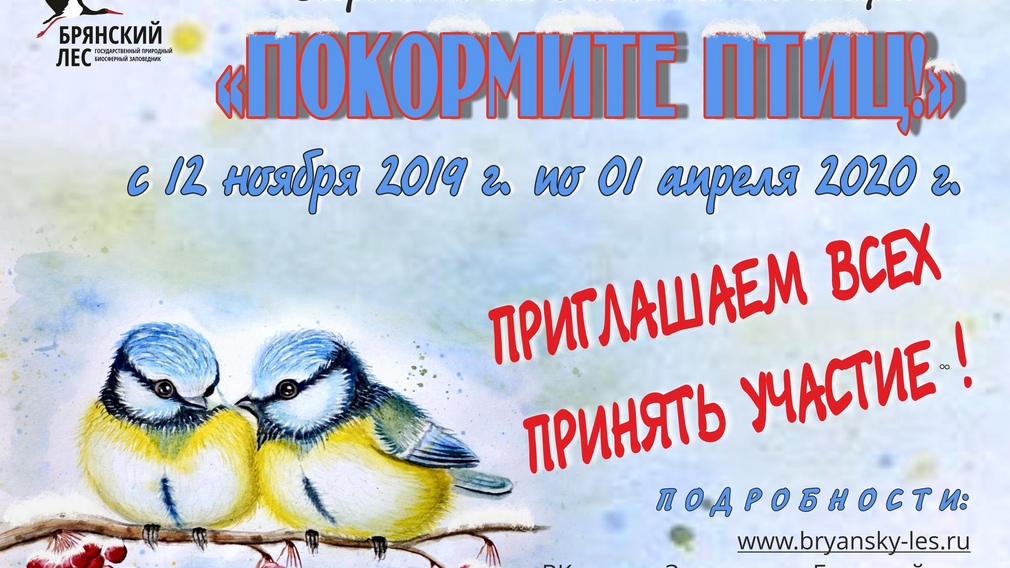 Брянский заповедник объявляет акцию «Покормите птиц!»