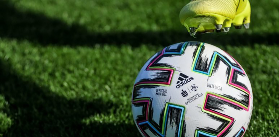 Главный тренер брянского «Динамо» извинился перед судьями