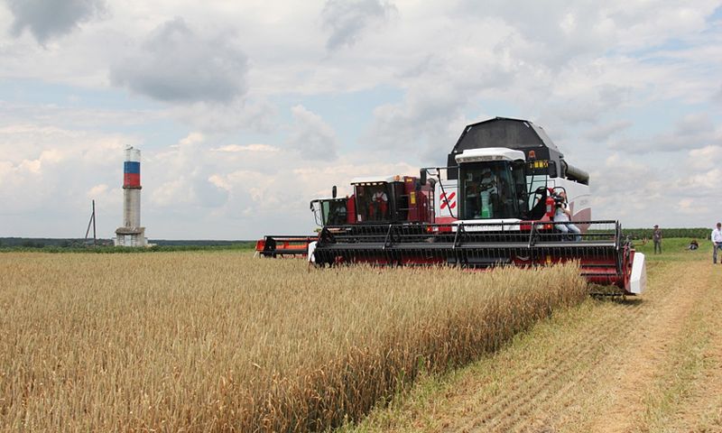 Брянские аграрии заплатили налоги на сумму 2 млрд рублей