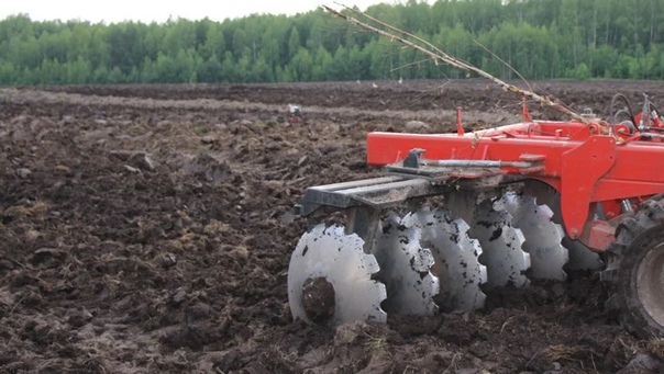 Глава Брянщины приказал опубликовать сведения о наличии неиспользуемых земель