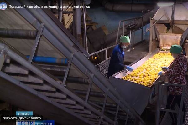 Картофельная фабрика брянского Погара наладила экспортное партнерство