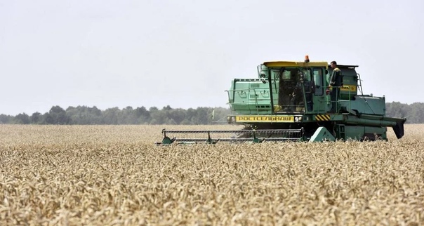 В Брянской области к 5 ноября намолочено около 1,5 млн тонн зерна