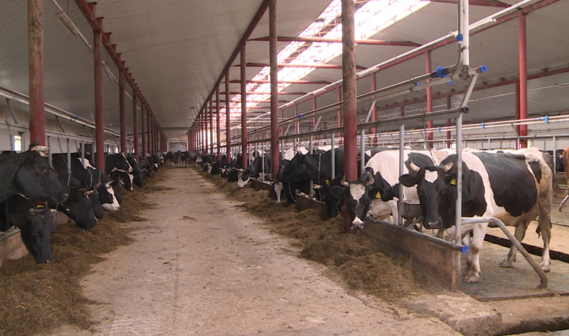 На реализацию инвестпроектов в АПК Брянской области выделено около 14 млрд рублей