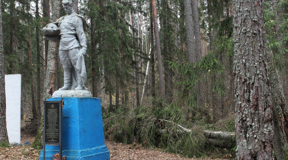 В Брянске пройдет акция по расчистке партизанской стоянки имени Кравцова