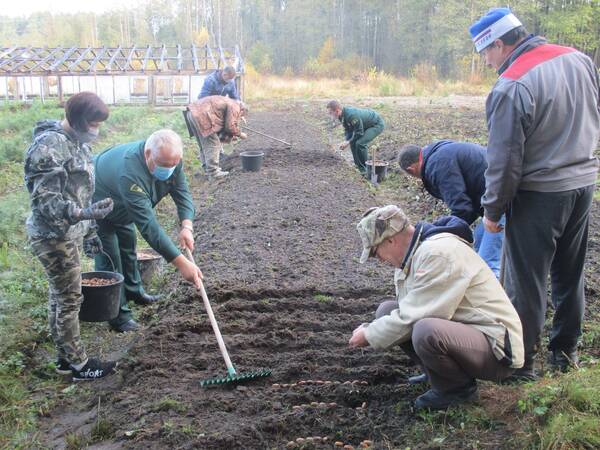 В Брянской области реализуется региональный проект «Сохранение лесов»