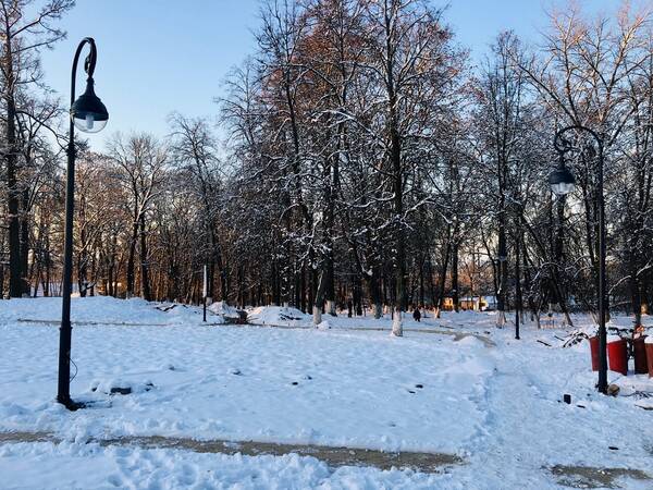 В Локотском парке установили 30 фонарей необычной формы