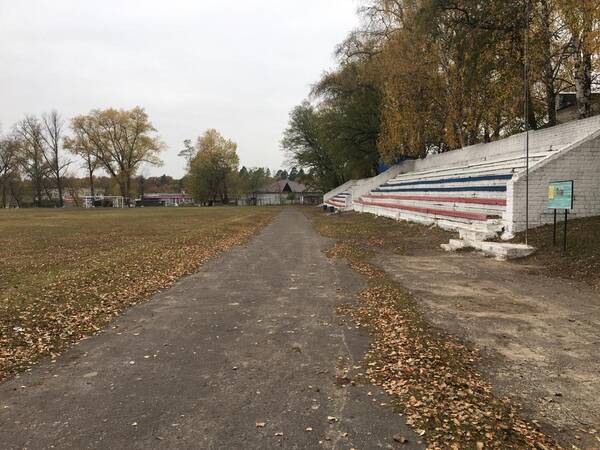 Жители поселка Локоть «Решили вместе» благоустроить стадион