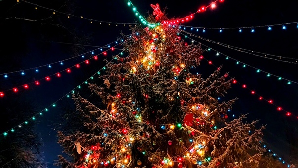 Брянские дети смогут увидеть в этом году кремлёвскую ёлку онлайн